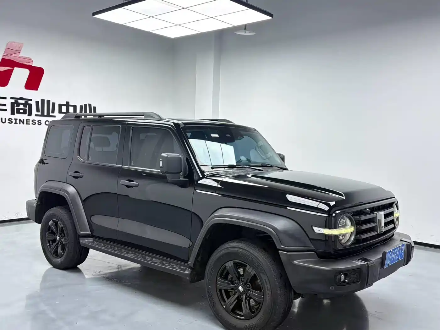 Tank 300 2023 Off-Road Edition 2.0T Conqueror фото 3
