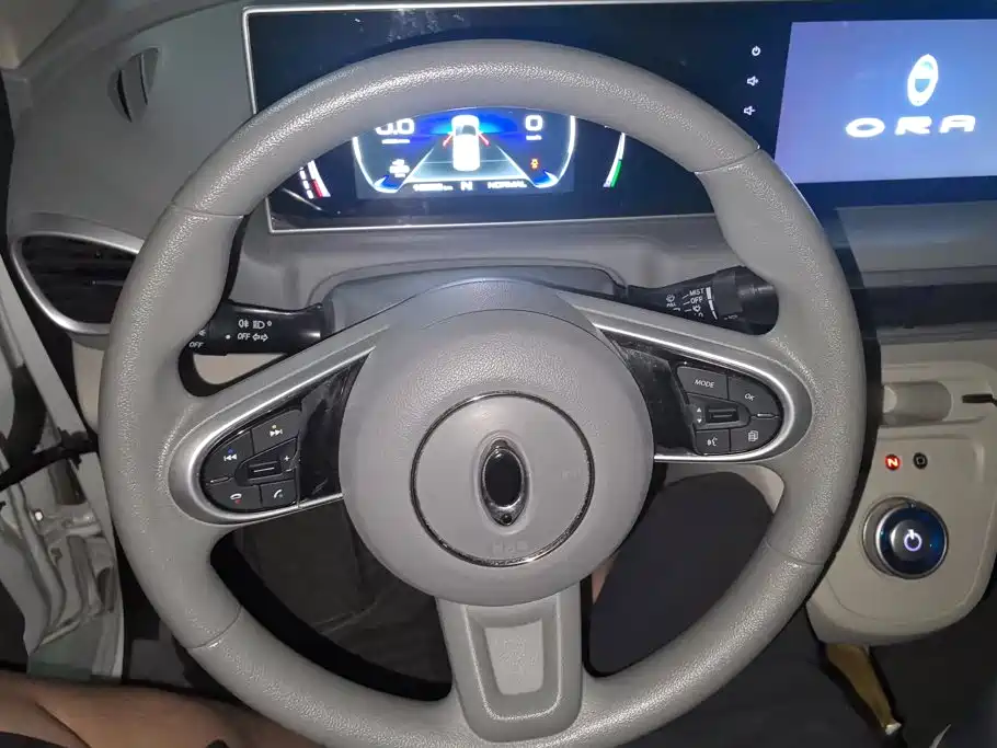 Ora White Cat 2021 2020 360km Luxury Model