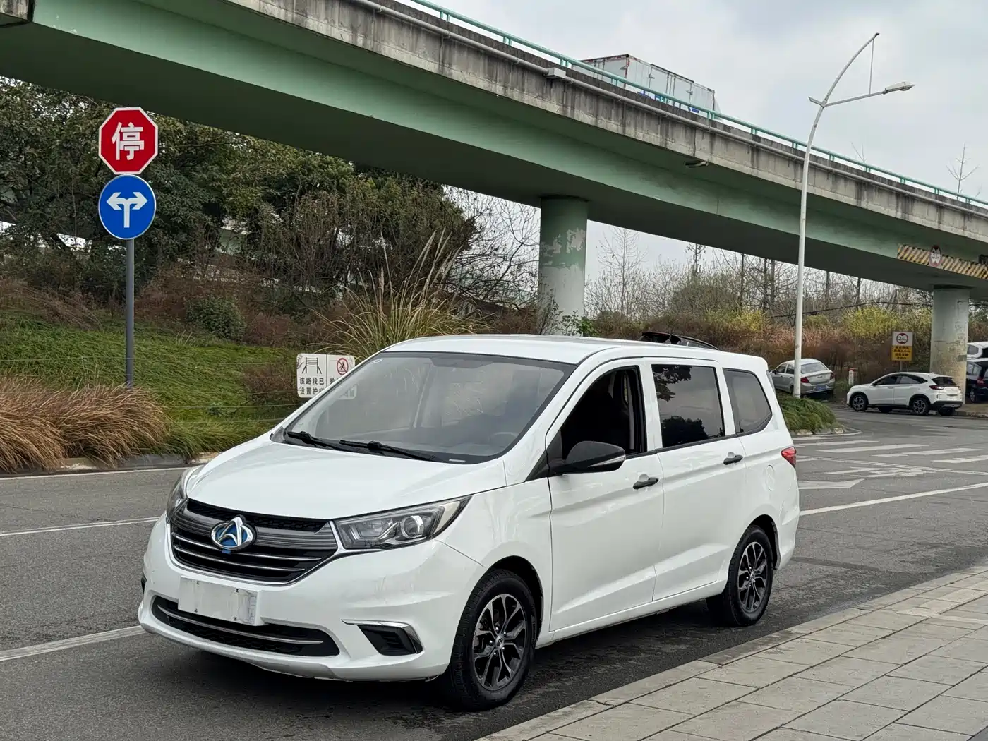 CHANGAN CHANGAN AUCHAN A600EV