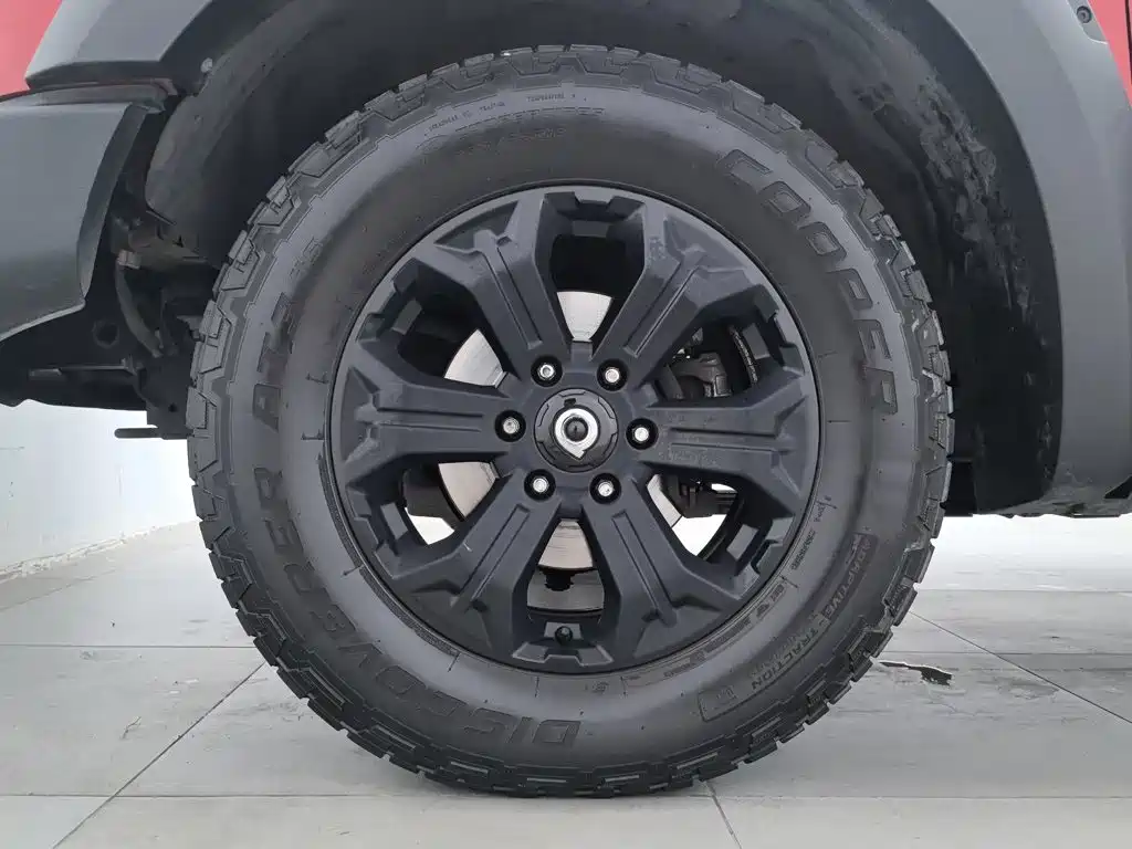 Great Wall Pao 2020 2020 2.0T Off-Road Auto Gasoline 4WD Premium Edition GW4C20B