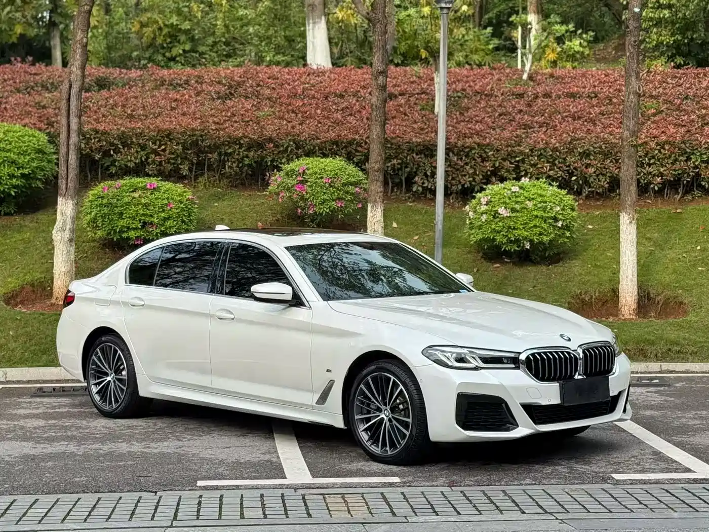 BMW 5 SERIES