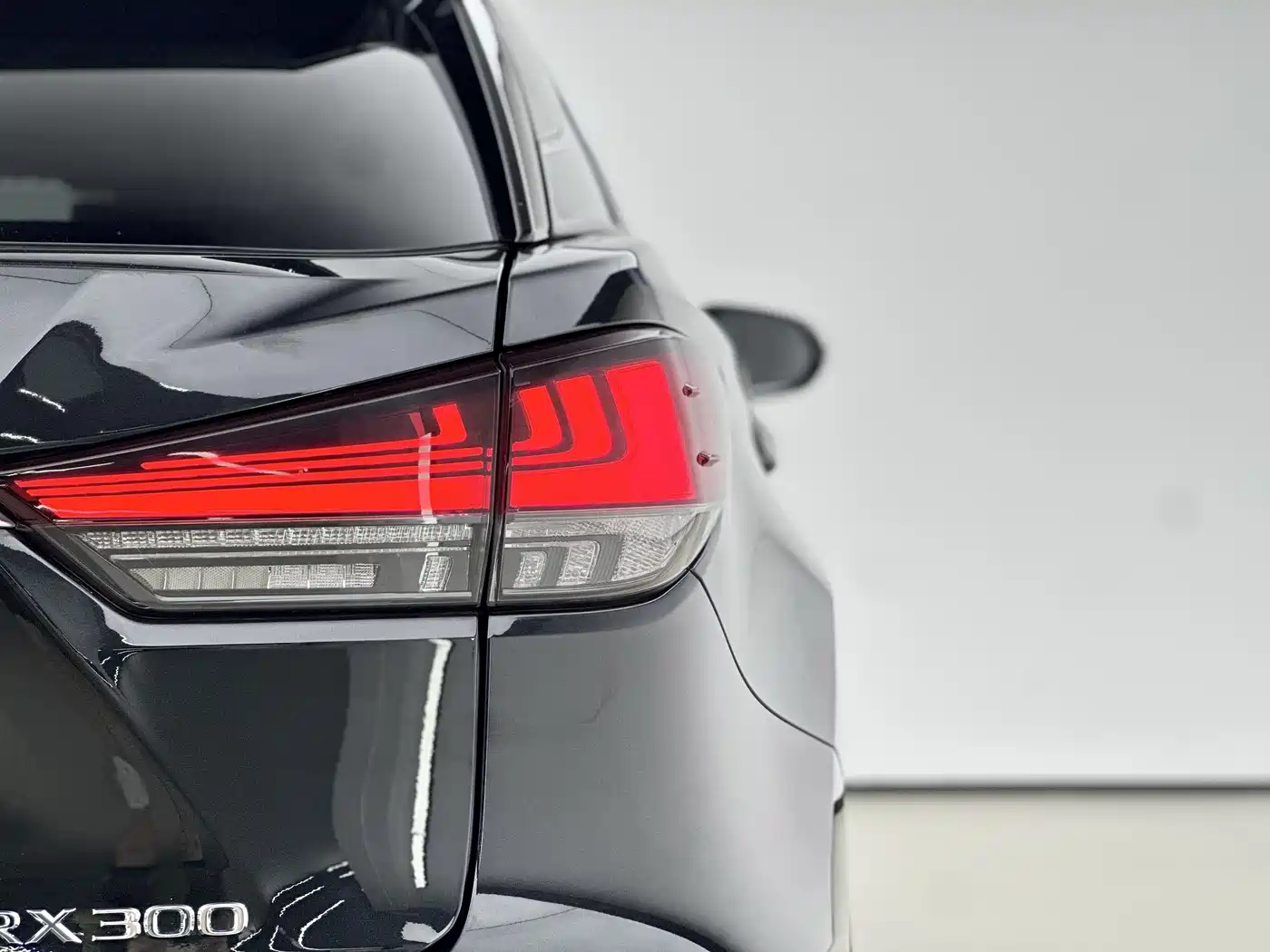 Lexus RX 2020 300 4WD Elegance Edition China VI фото 15
