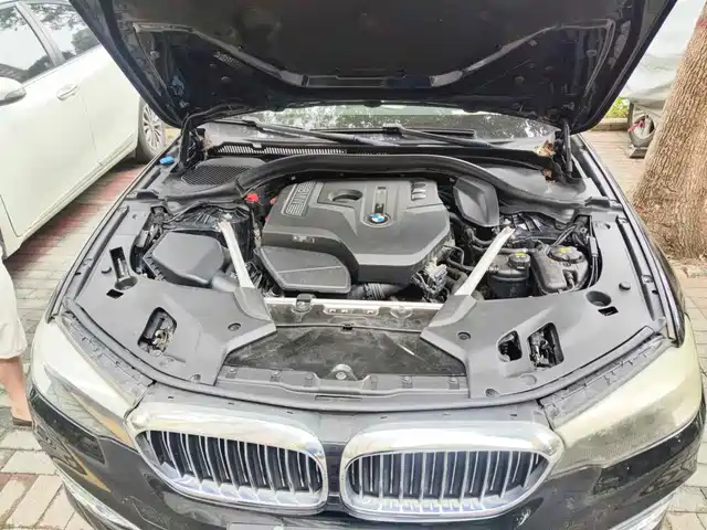 BMW 5 Series 2018 Facelift 530Li Leading Luxury Package — фото 3