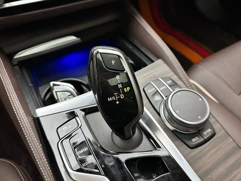 BMW 5 Series 2021 530Li Leading Luxury Package фото 16