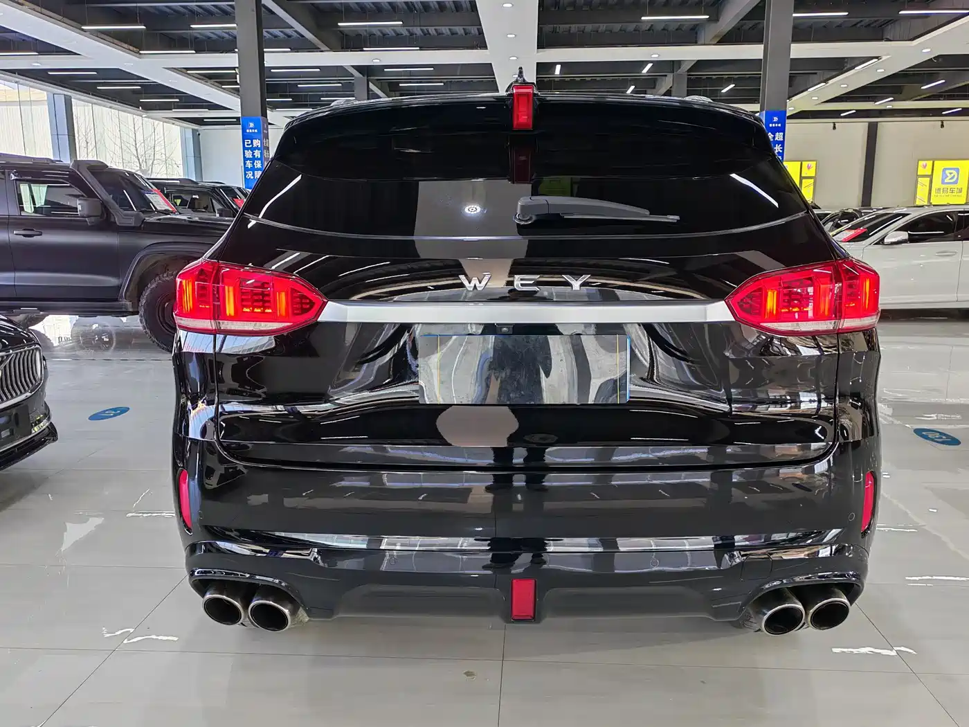 WEI PAI WEI BRAND VV6