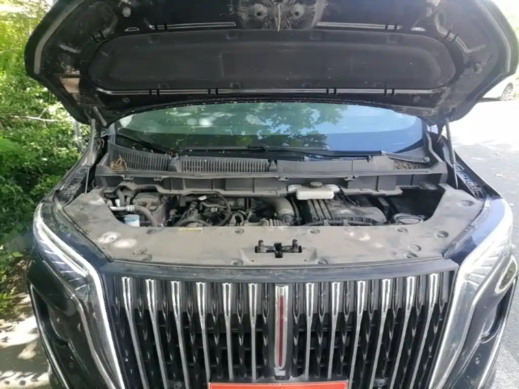 Hongqi HQ9 PHEV 2024 Model 2.0T AWD Business Edition фото 17