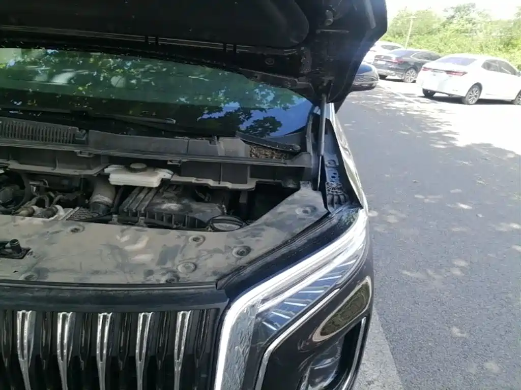 Hongqi HQ9 PHEV 2024 Model 2.0T AWD Business Edition фото 25