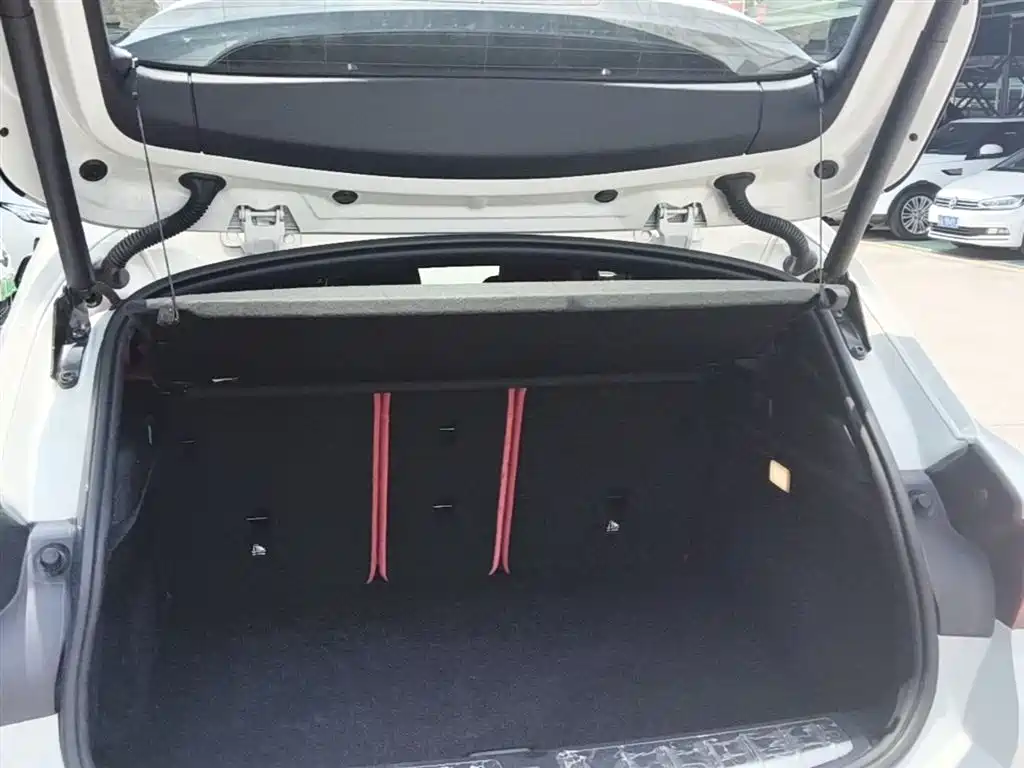 BMW X2 2021 sDrive25i Leading M Off-Road Package фото 19