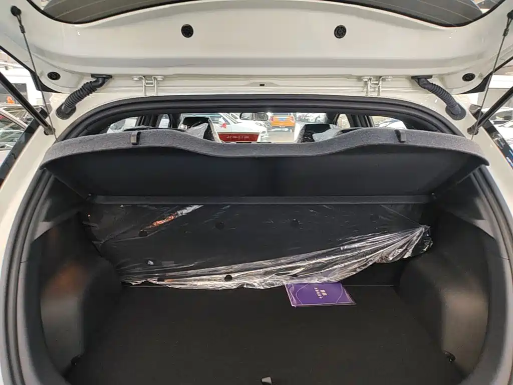 BYD Dolphin 2026 2025 420km Freedom Edition
