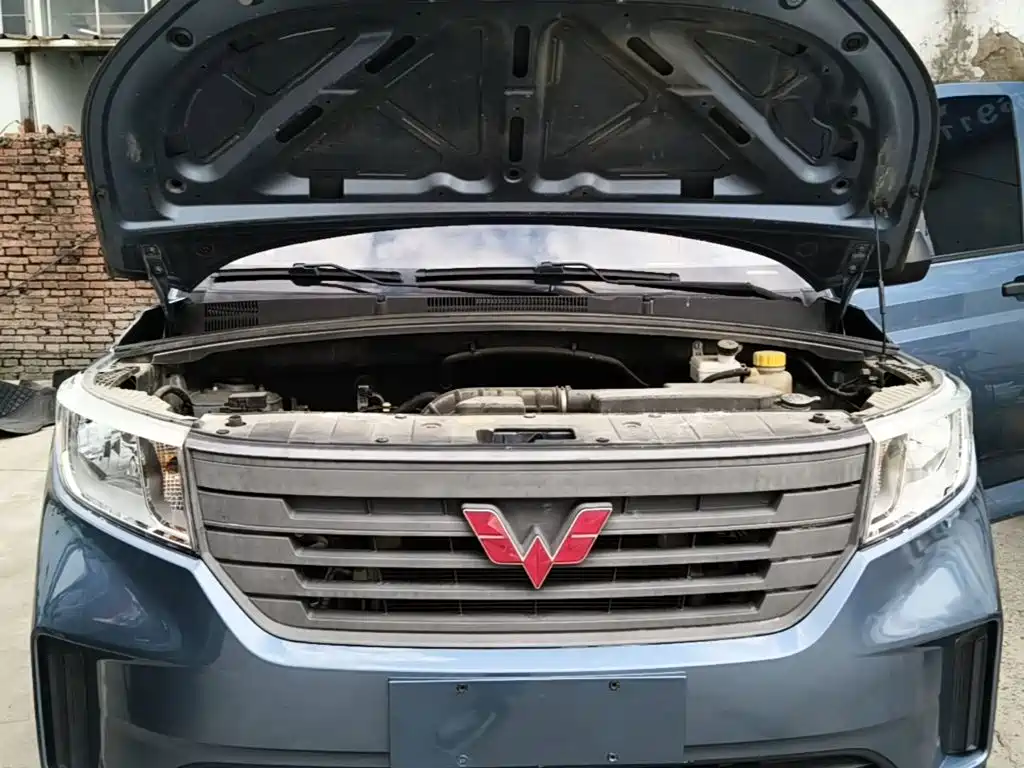 Wuling Motors Wuling Hongguang PLUS 2021 2020 1.5L Manual Standard 5-seater