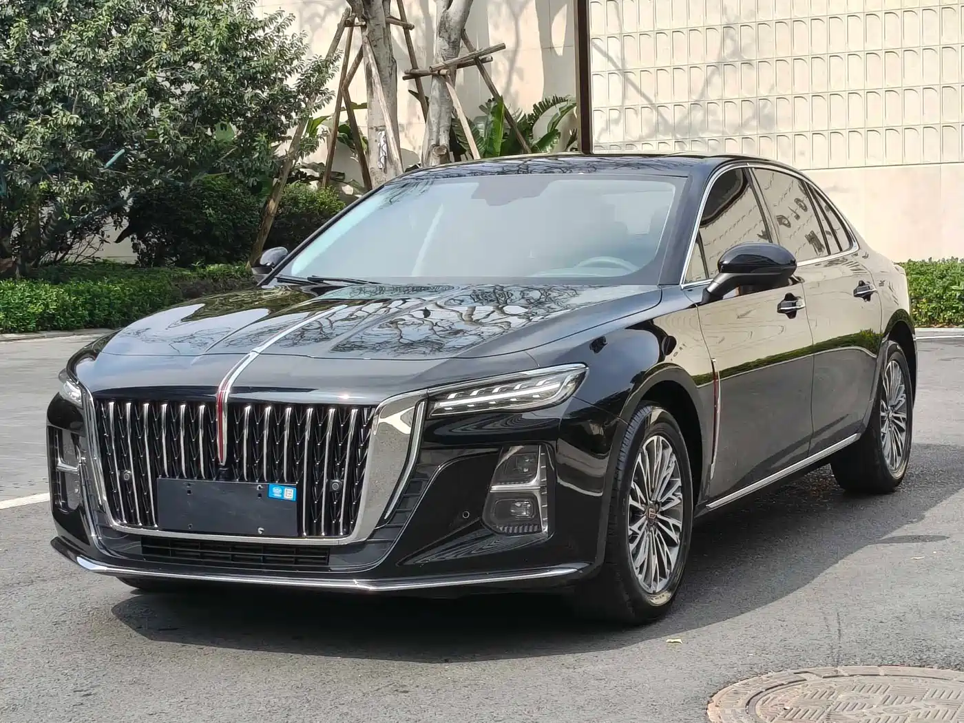 Hongqi H5 2025 2.0T Automatic Qixiang 500,000 Units Commemorative Edition