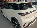 Фото 5 - BYD Dolphin