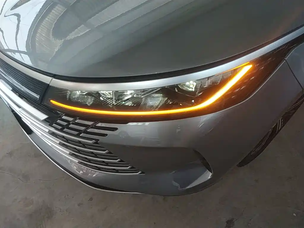 BYD Destroyer 05 2022 DM-i 55KM Luxury фото 18