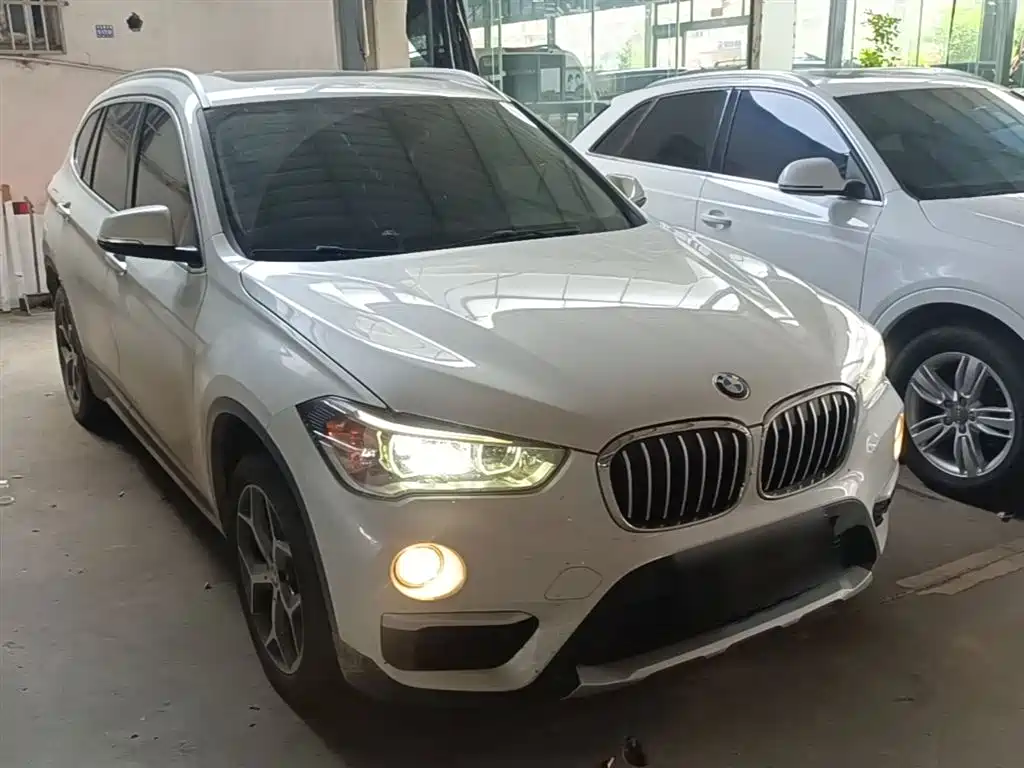 BMW X1 2019 xDrive20Li Premium Model фото 4