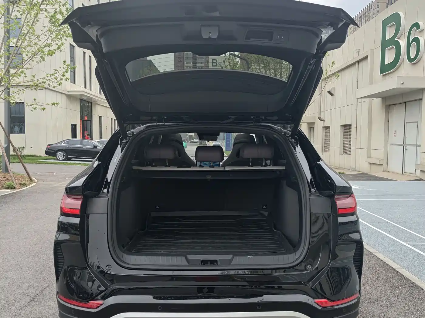 BYD SONGJIANG NEW ENERGY