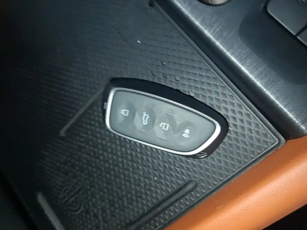 Haval H9 2024 2.0T Gasoline AWD Extreme Edition фото 9