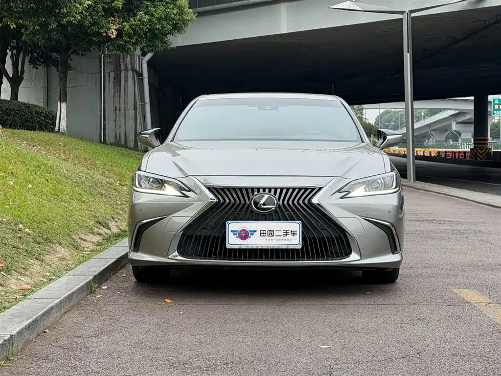 Lexus ES 2020 200 Luxury фото 2