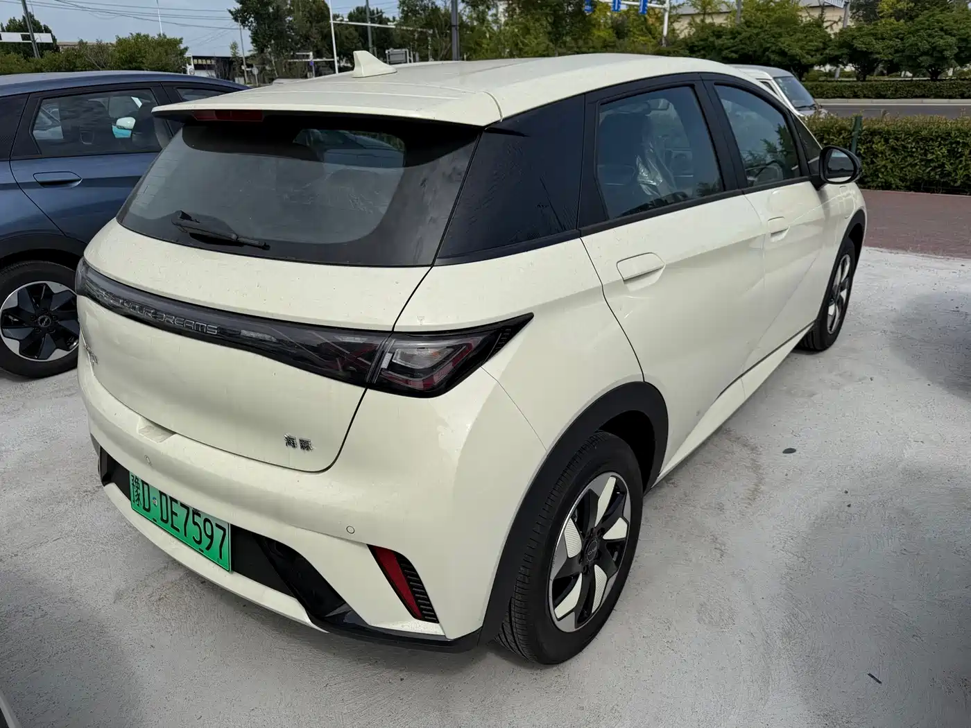 BYD Dolphin 2026 2025 420km Freedom Edition