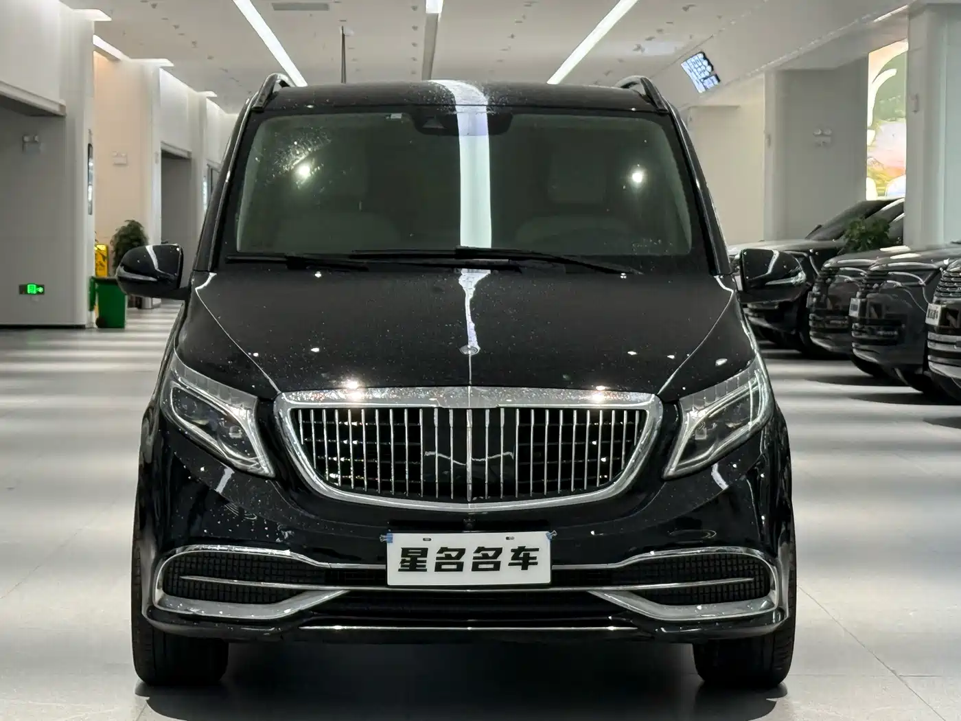 Mercedes-Benz V-Class 2016 V 260 Premium Edition фото 2