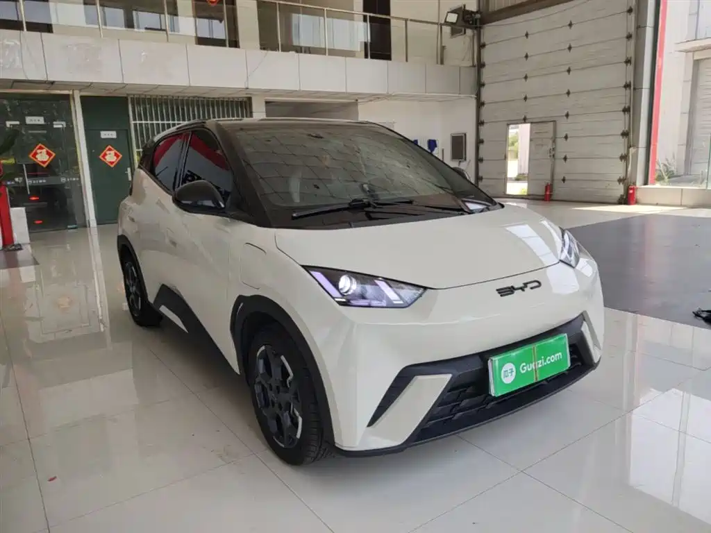 BYD Seagull 2023 Vitality Edition фото 4