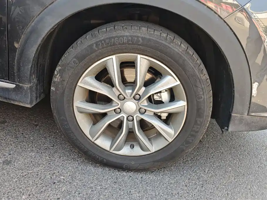 Фото 6 - Roewe RX5
