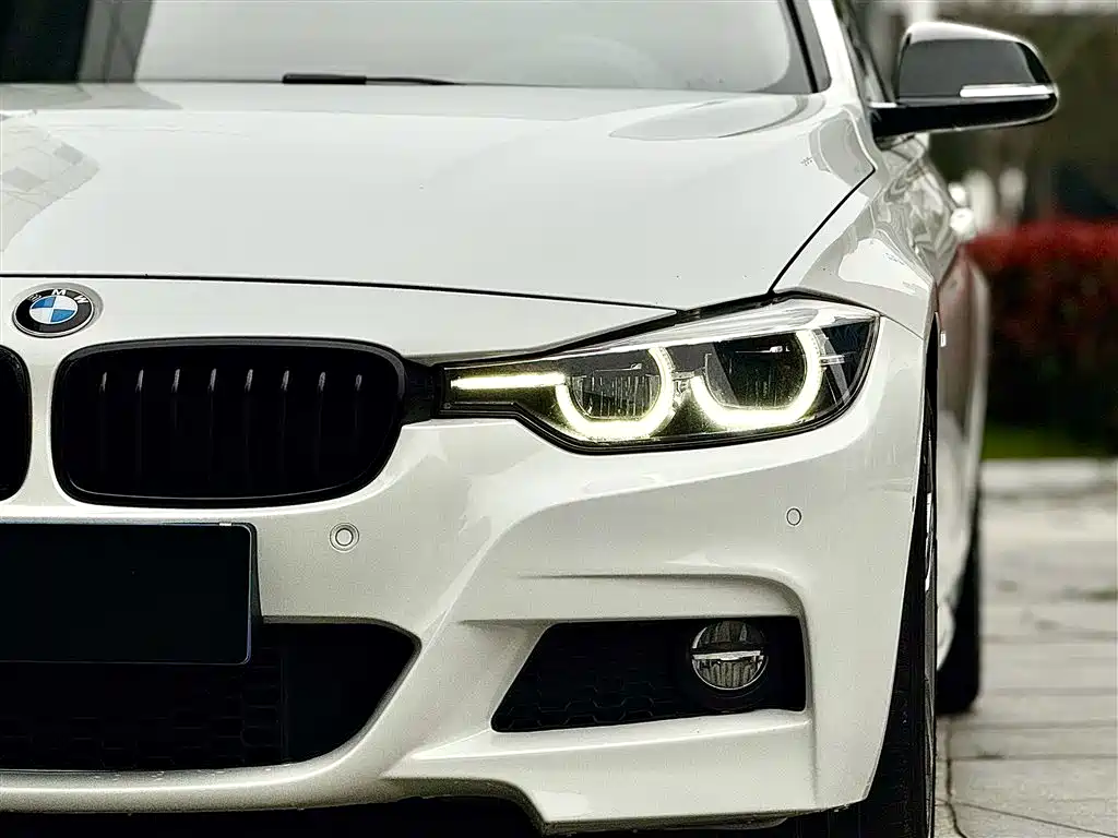 BMW 3 Series 2019 320Li M Sport Black Night Edition фото 3
