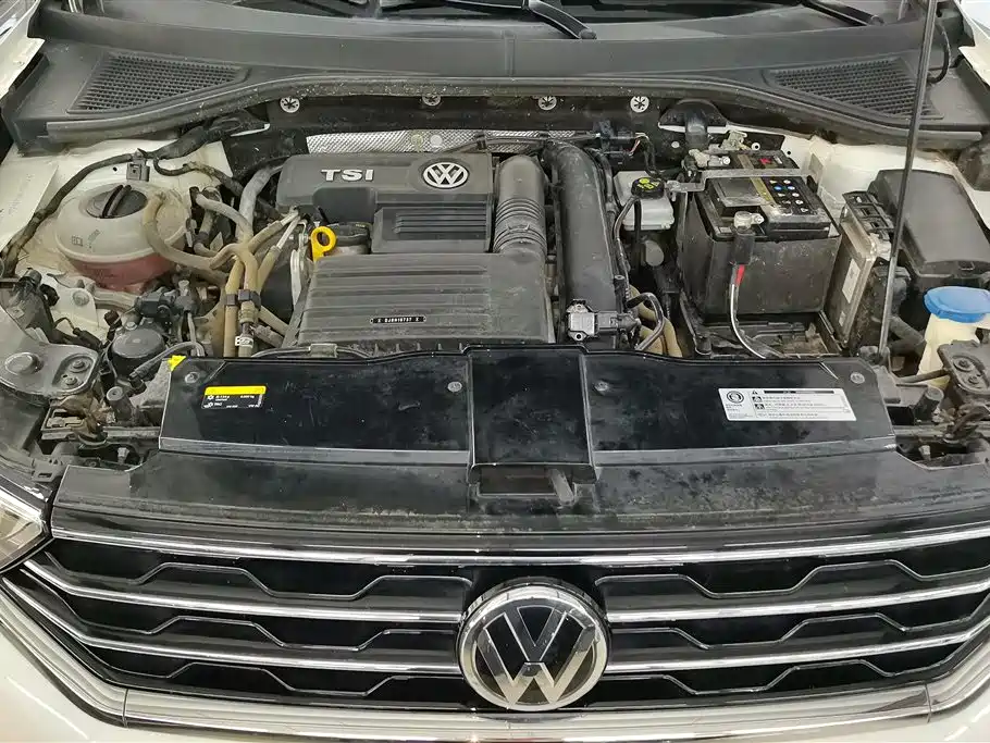 Volkswagen T-ROC 2019 280TSI DSG 2WD Comfort Version China VI фото 9