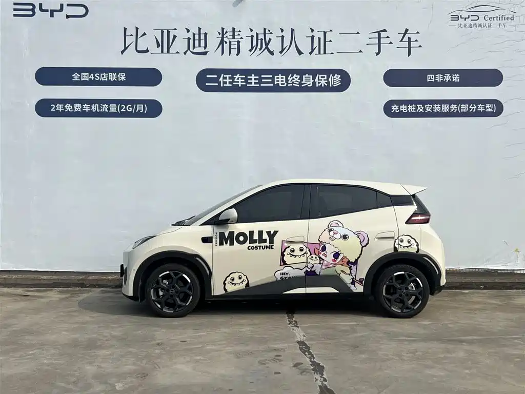 BYD Seagull 2025 Smart Drive Edition 305km Freedom Version фото 3