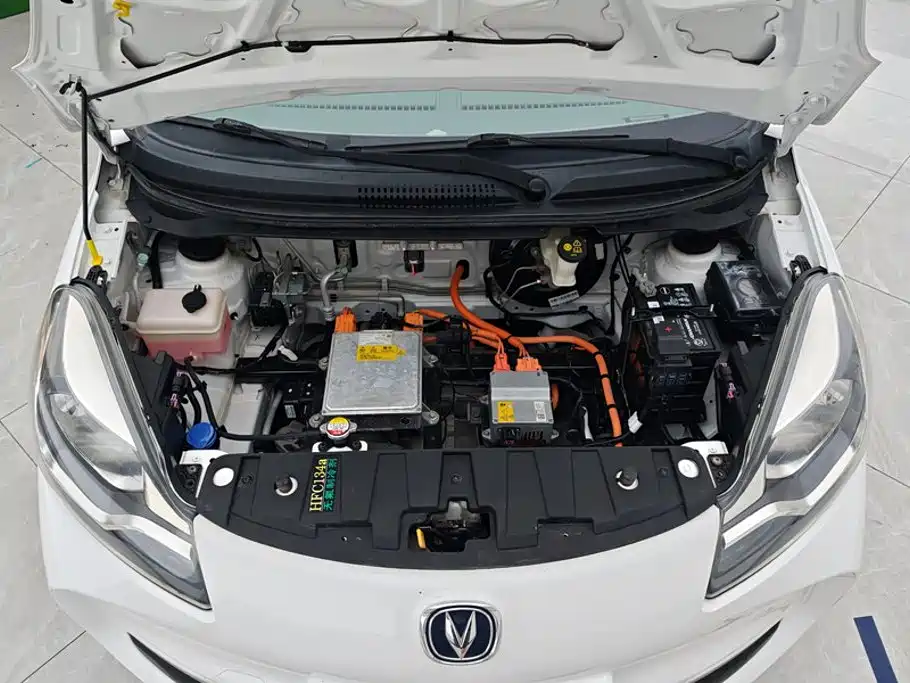 Changan Benben E-Star 2022 2021 National Edition Colorful Version LFP (31.95kWh)