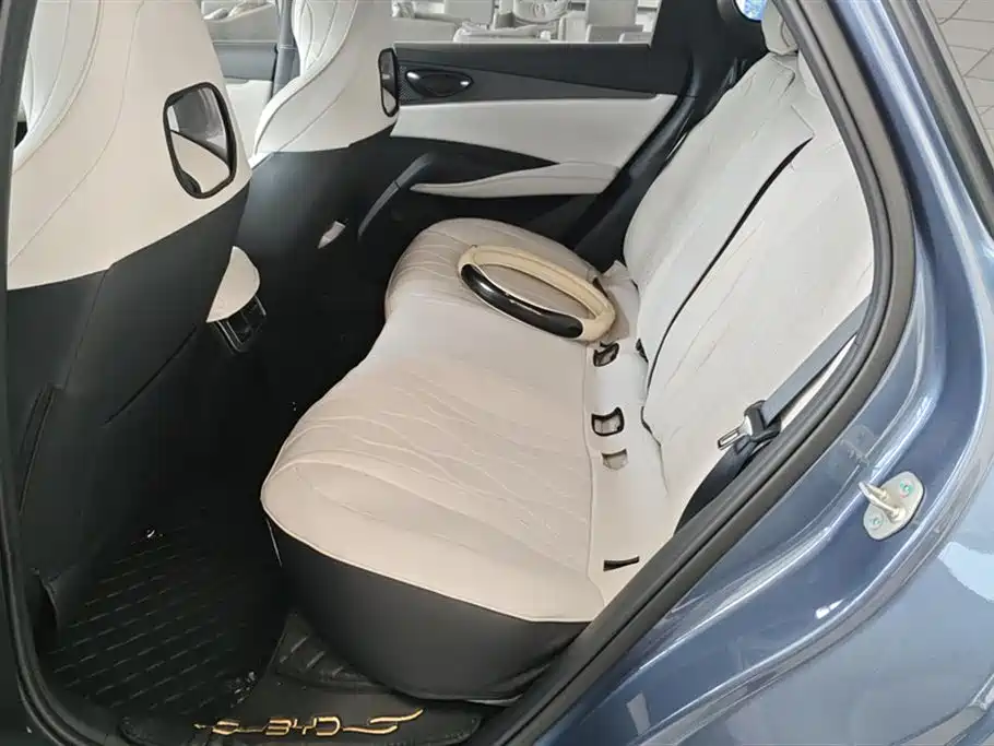 BYD Seal 06 New Energy 2024 DM-i 80KM Prestige фото 11