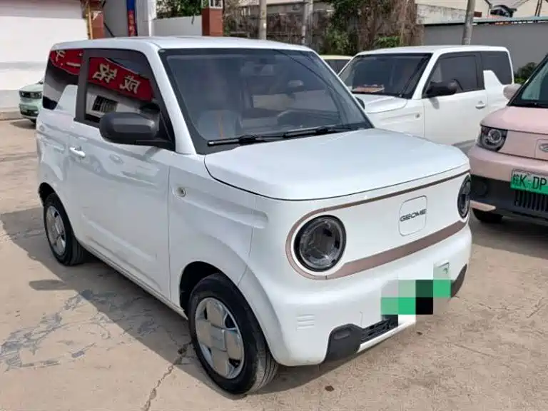 Geely Galaxy Panda 2023 Panda Mini 200km Endurance Bear фото 3