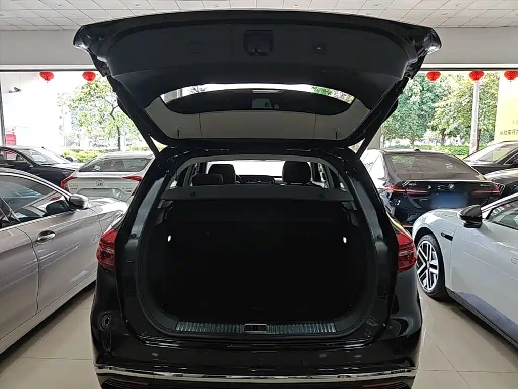 Hongqi HS5 2019 2.0T Smart Connect Enjoy Edition фото 19