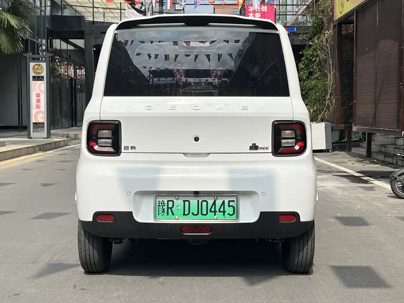 Geely Galaxy Panda 2026 2025 Panda mini 210km Vitality Bear