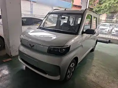 Wuling Sunshine