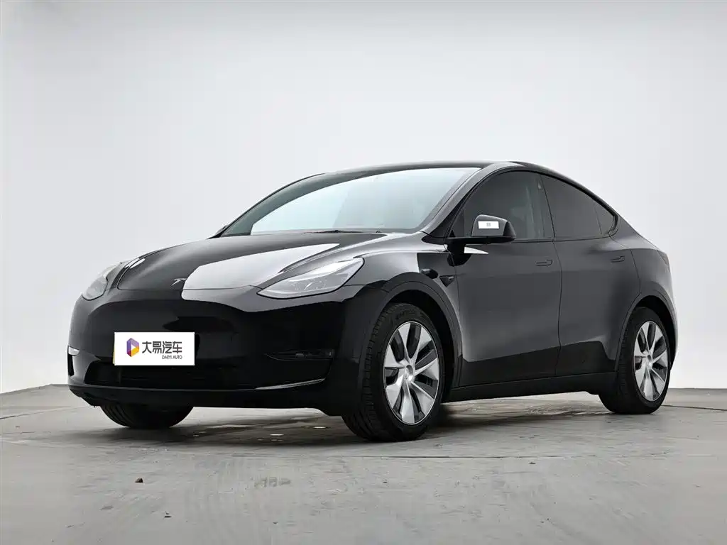 Tesla Model Y 2021 Standard Range Rear-Wheel Drive