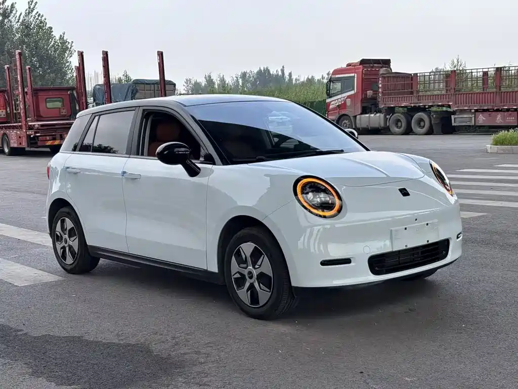JAC Yiwei Yiwei 3 2024 2024 Beloved Edition 330km Air+