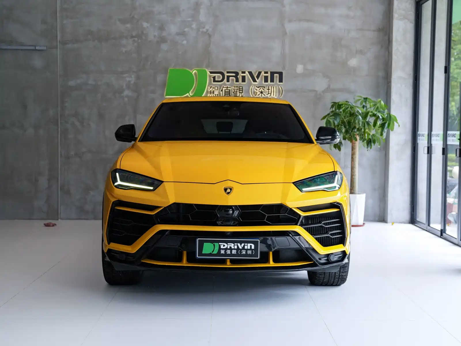 Фото 3 - Lamborghini Urus
