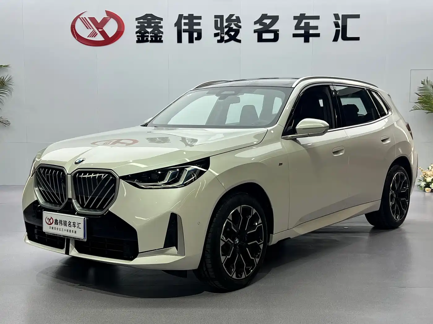 BMW X3 2025 xDrive30L Premium Model M Sport Black Package фото 2