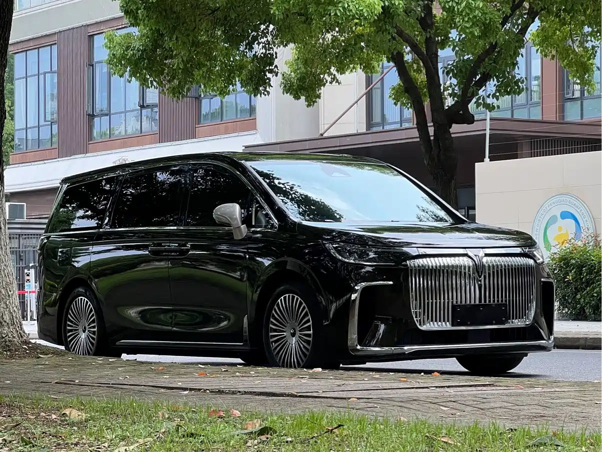 Voyah Auto Voyah Dreamer 2025 PHEV AWD Flagship Kunpeng Edition фото 3