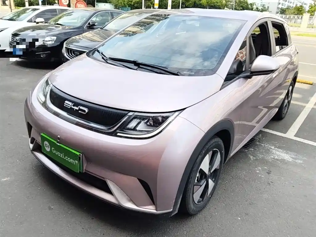 BYD Dolphin 2023 420km Freedom Edition