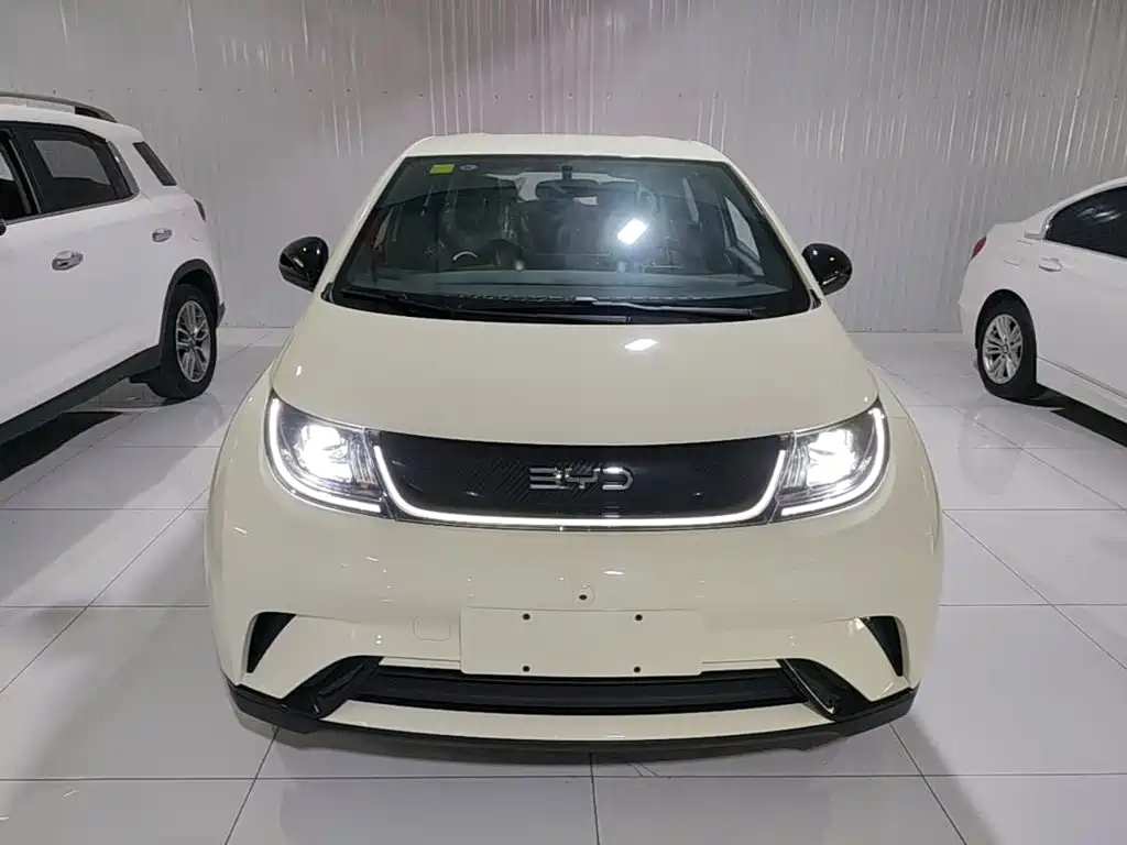 BYD Dolphin 2026 2025 420km Freedom Edition