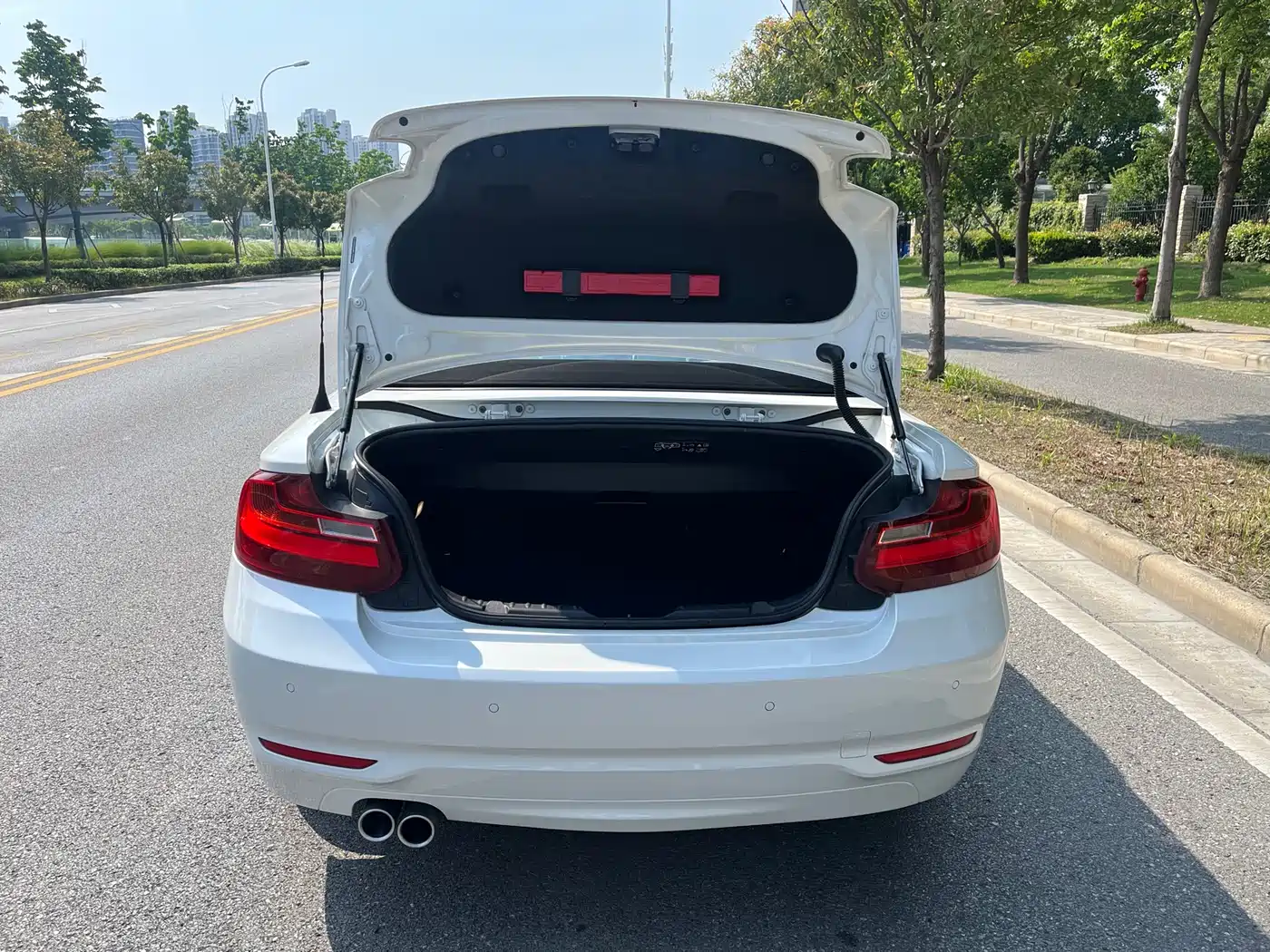 BMW 2 Series (Import) 2017 220i Convertible Coupe Leading фото 8