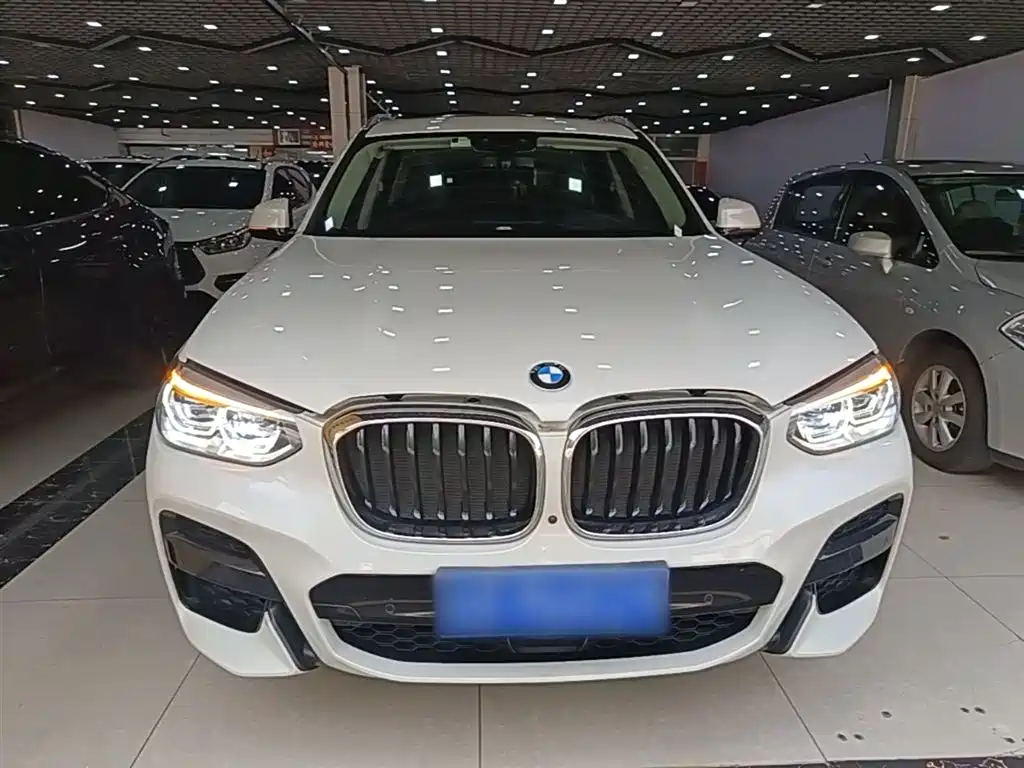 BMW X3 2021 xDrive30i Leading M Sport Package фото 3