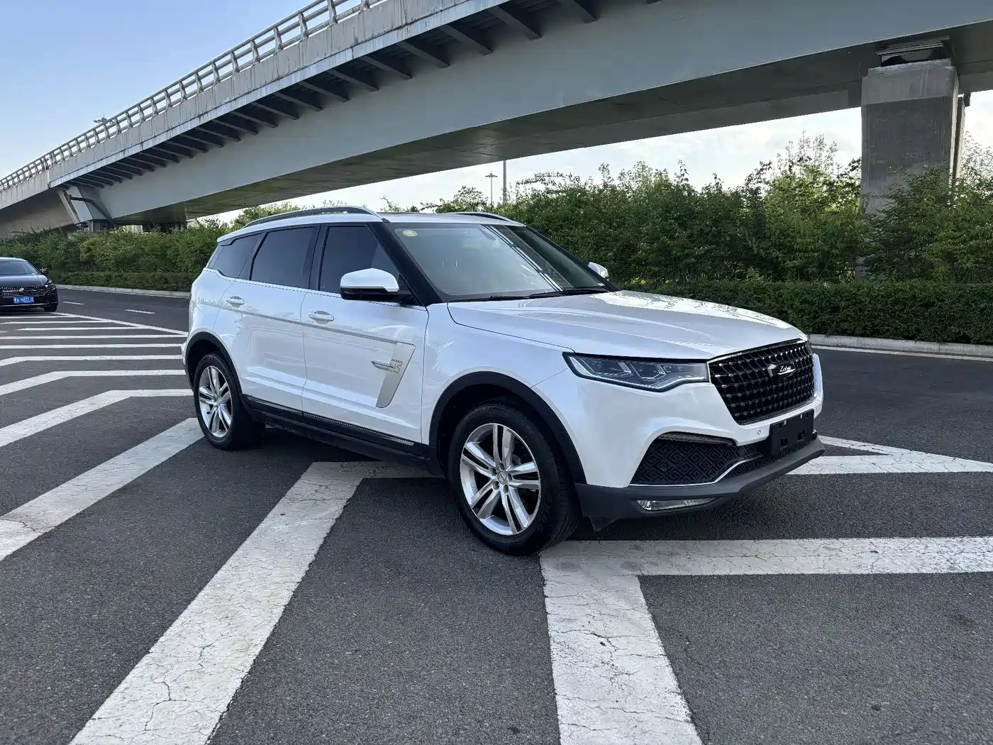 2019 Zotye T700