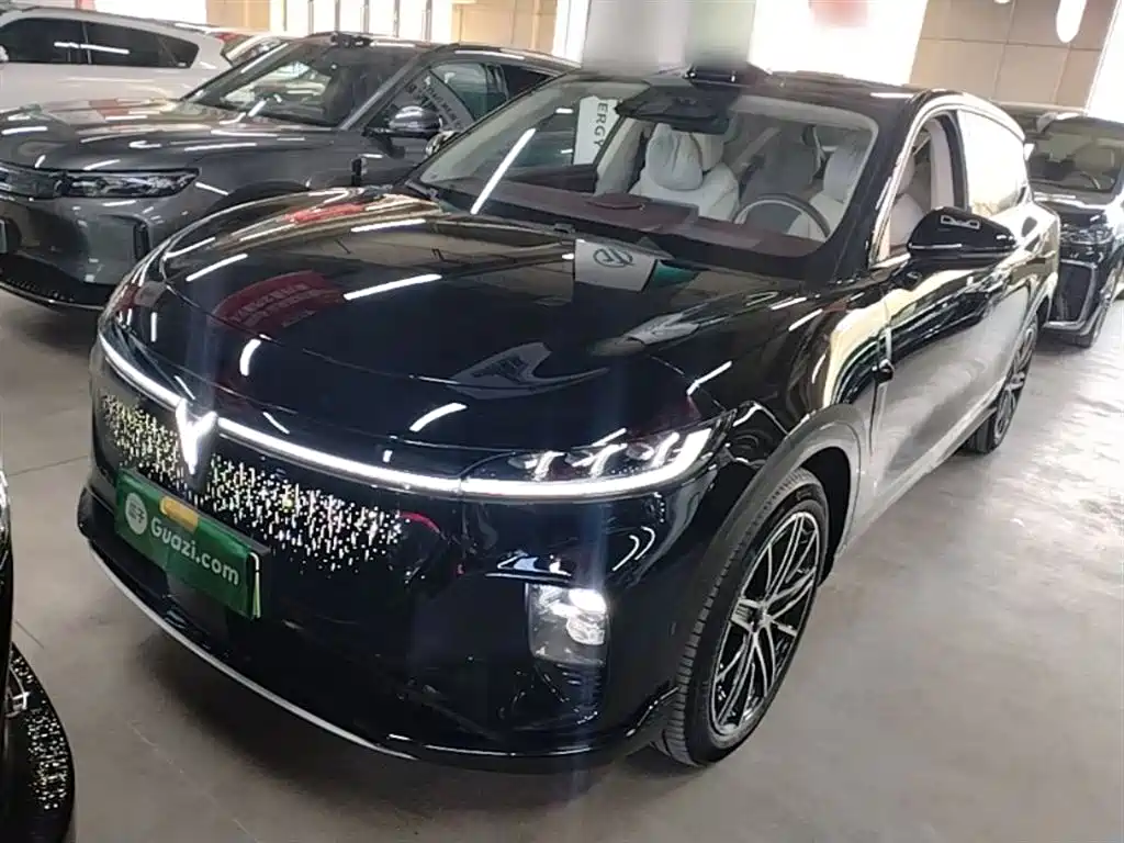 Voyah Auto Voyah Zhiyin 2025 Base