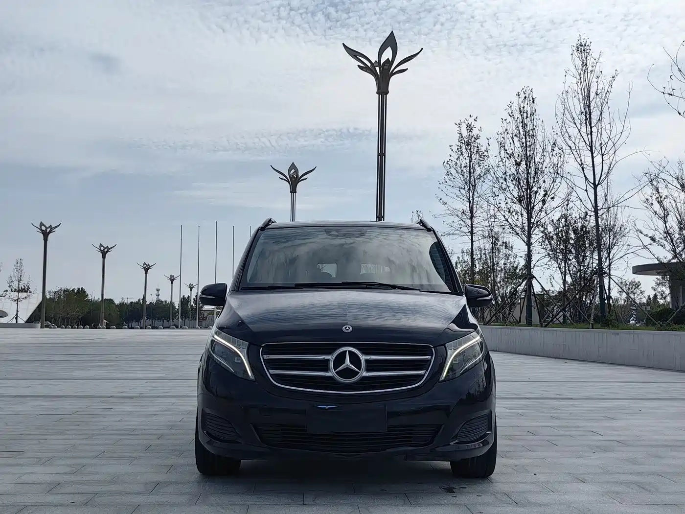 Mercedes-Benz V-Class 2018 V 260 Navigator Edition China VI фото 3