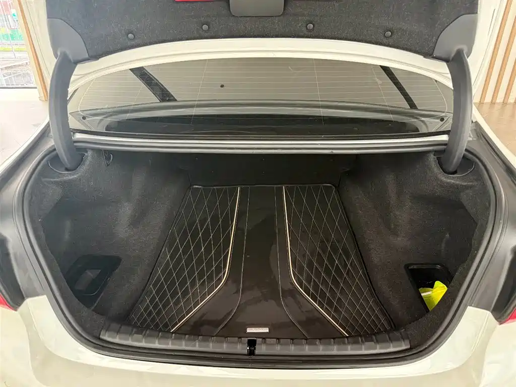 BMW 5 Series 2020 530Li Leading M Sport Package фото 14
