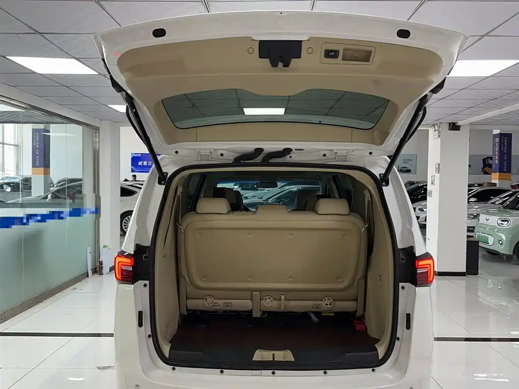 Buick GL8 2023 Facelift Land Business Class Luxury фото 16
