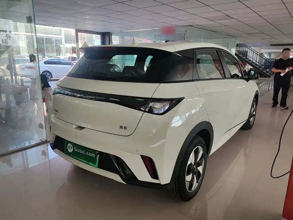 BYD Dolphin 2026 2025 420km Freedom Edition