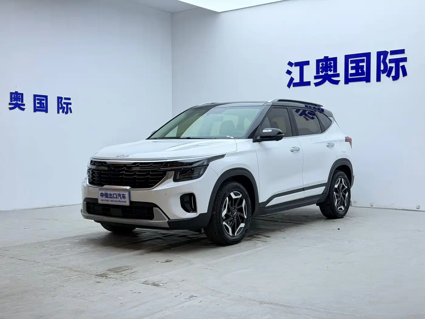 Kia Seltos 2023 1.5L CVT Premium Edition